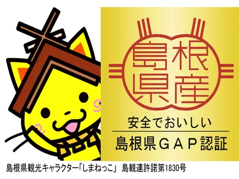 【生にんにく】国産★農薬不使用★GAP認証品｜1kg(小さめ）